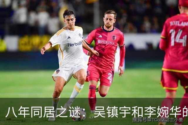 八年同居之谜：吴镇宇和李婉华的爱情故事